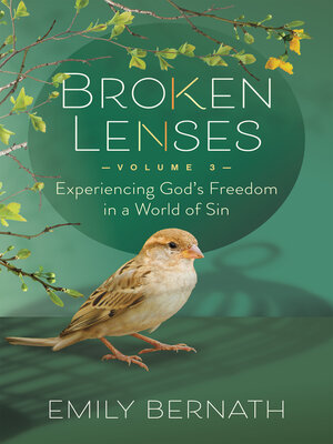 cover image of Broken Lenses Volume 3